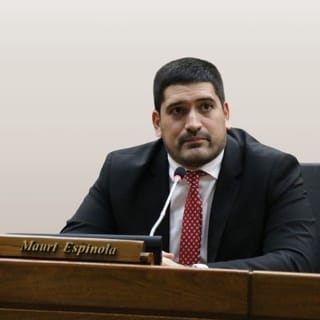 Foto oficial de MAURICIO FABIAN ESPÍNOLA NÚÑEZ