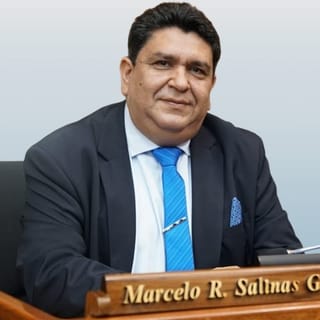 Foto oficial de MARCELO RAFAEL SALINAS GONZÁLEZ